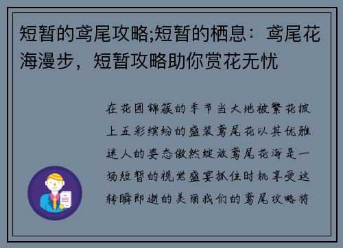 短暂的鸢尾攻略;短暂的栖息：鸢尾花海漫步，短暂攻略助你赏花无忧
